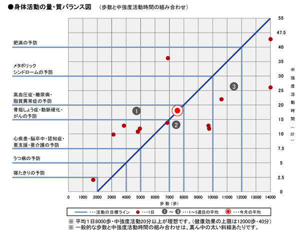 身体活動の量・質バランス図